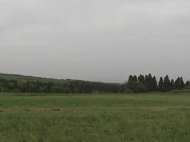 img_0325.jpg