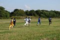 11kisogawa08101610.jpg