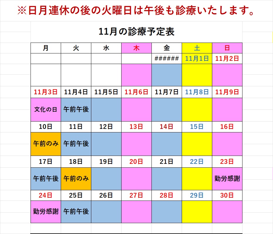 2025/11月診療予定 2025/11月診療予定