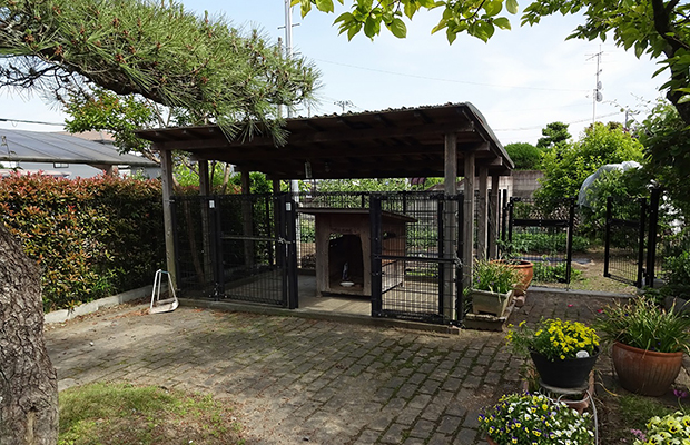 施工前犬小屋1