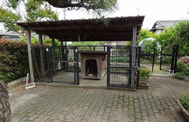 施工前犬小屋2