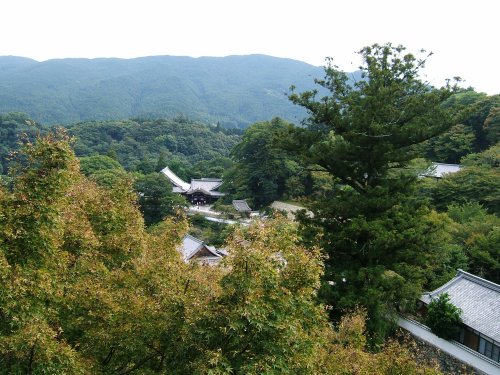 長谷寺