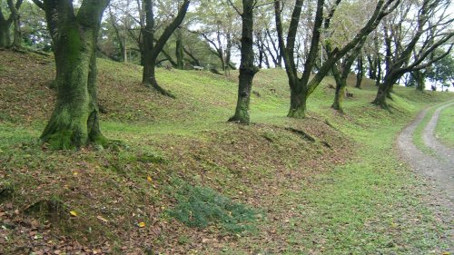 雉岡城跡